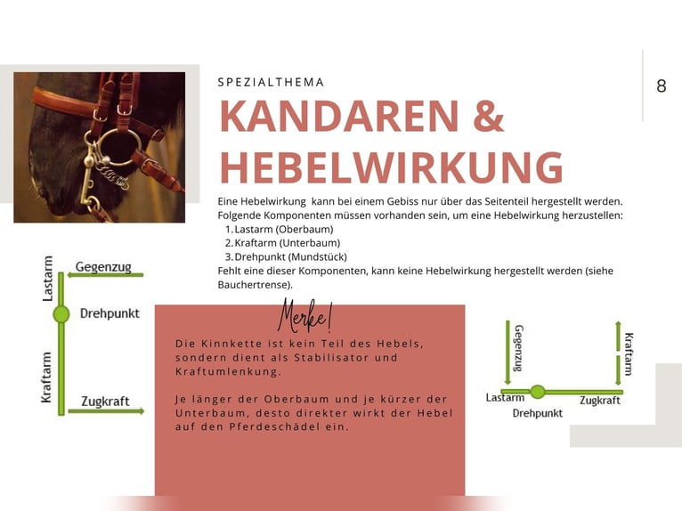 Workshop Gebisskunde 29.8. in 21279 Wenzendorf