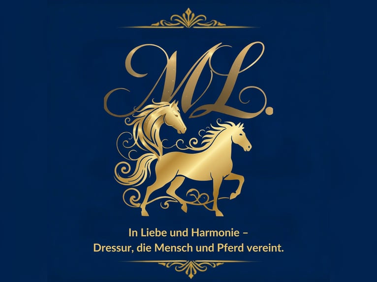 Dressurunterricht bis zur Klasse L