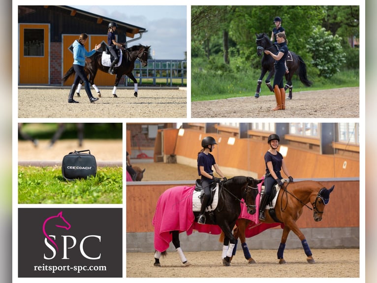 Dressurunterricht Kl. E-S * Trainingstage * Sitzschulung * EM Bewegungstraining * Neuroathletik *