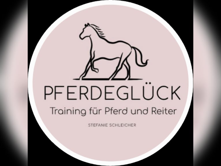 Individuelles Pferdetraining vor Ort Individuelles Pferdetraining vor Ort