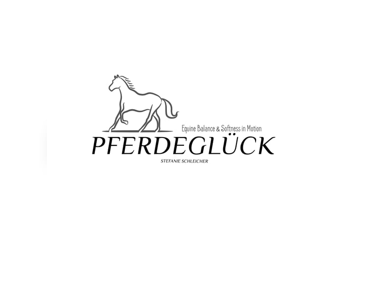 Mobiles Pferdetraining & Reitunterricht 