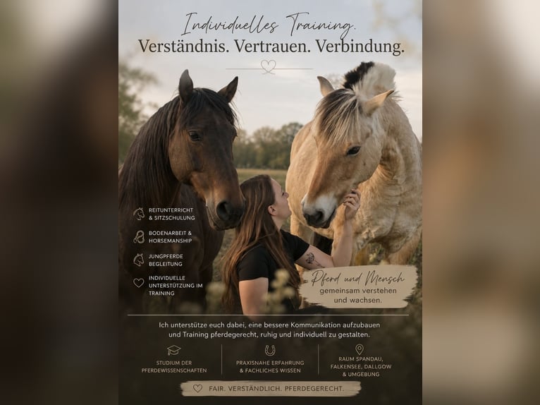 Pferdeausbildung & Training | Reitunterricht, Bodenarbeit, Jungpferde-/Problempferdeausbildung
