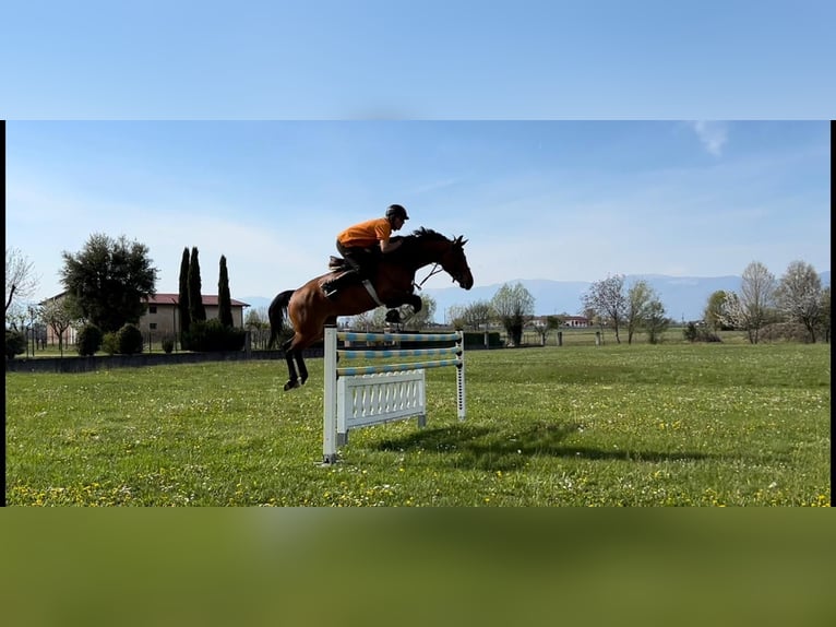 🇮🇹Reiten lernen auf höchstem Niveau – dort, wo andere Urlaub machen🇮🇹