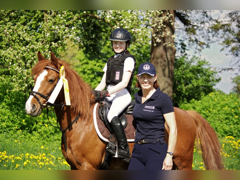 Reitunterricht für Erwachsen, Kinder und Jugendliche