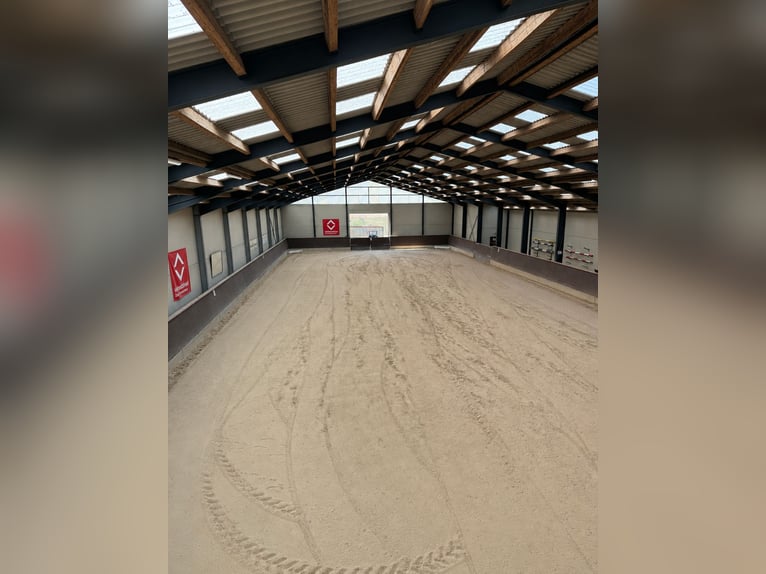 Springunterricht und Unterricht Gymnastizierung