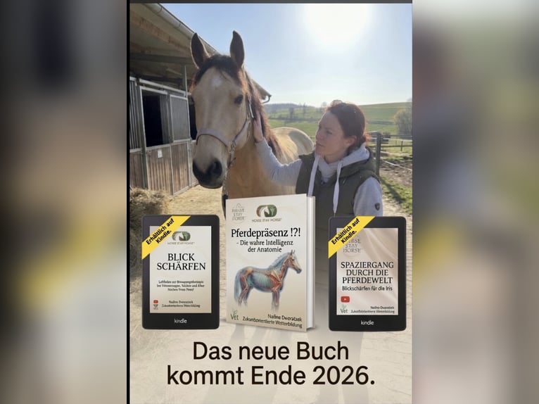 Unterricht / Biochemische Kunst Reiter Sitz Ausbau