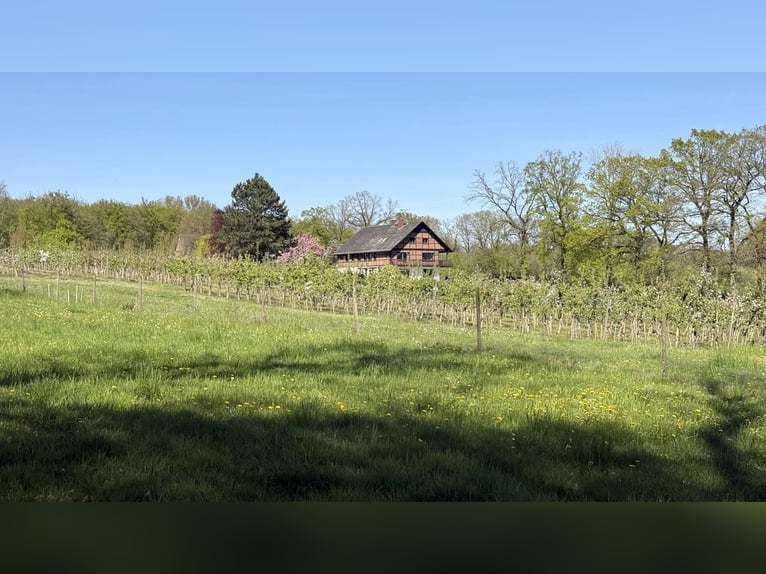10 ha Paradies - Landhaus in traumhafter Alleinlage zu verkaufen