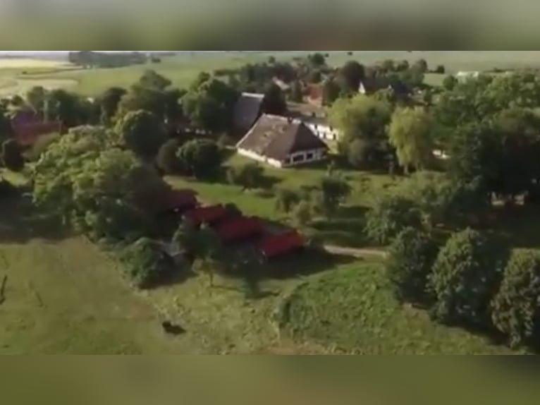 15 ha Reitanlage in Ostseenähe – arrondierte Flächen