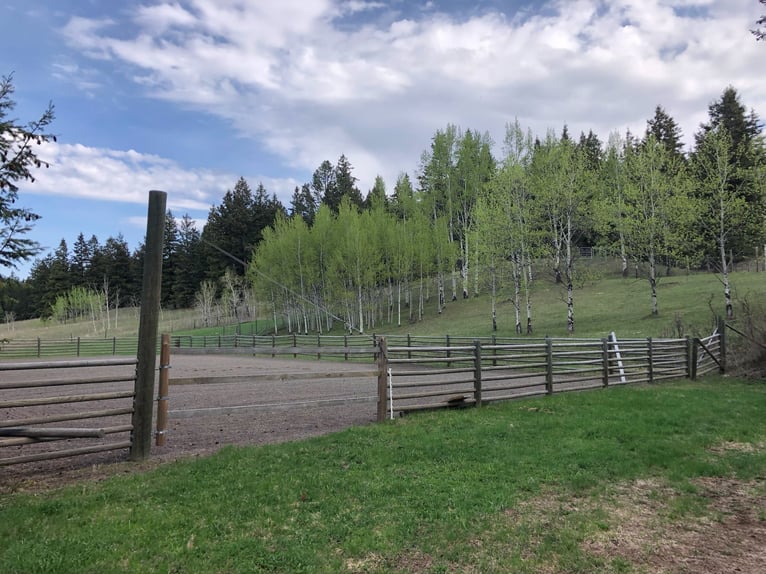 32 ha Hilltop-Ranch. Familien- u. Pferde-Paradies in grandioser Lage. Kanada- British Columbia.