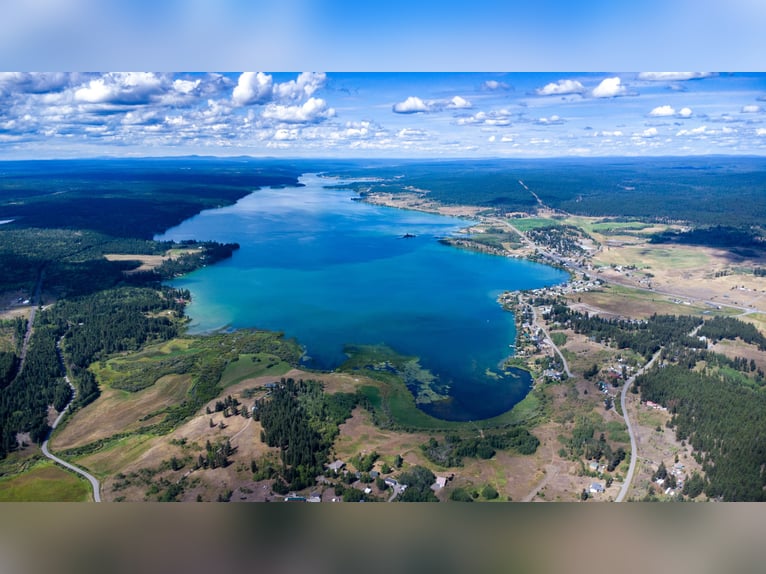 32 ha Hilltop-Ranch. Familien- u. Pferde-Paradies in grandioser Lage. Kanada- British Columbia.