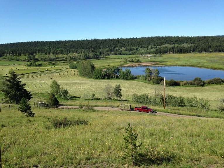 32 ha Hilltop-Ranch. Familien- u. Pferde-Paradies in grandioser Lage. Kanada- British Columbia.
