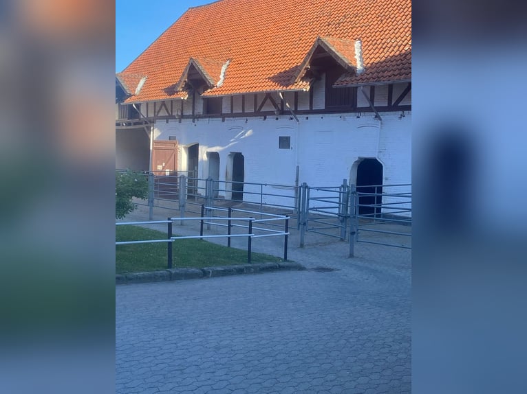 384-25 Reiterhof mit ***Hotel und Pferde-Pensionsbetrieb in Niedersachsen