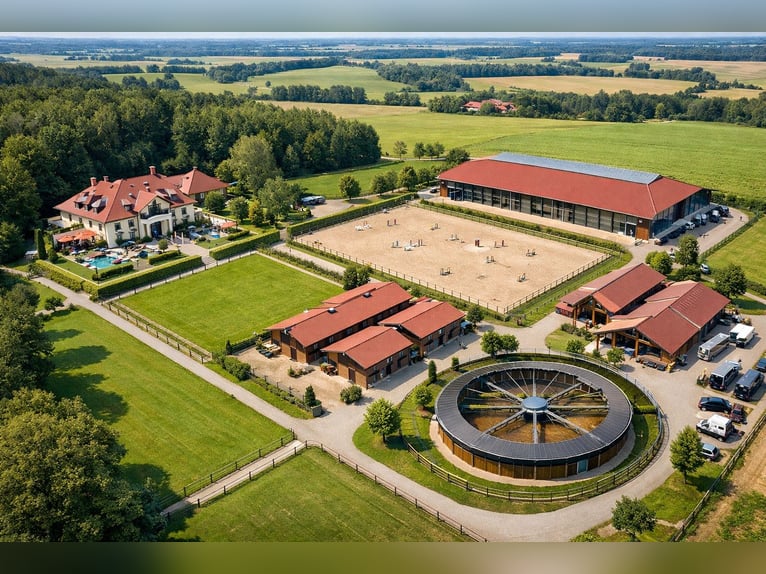 5* Reitanlage an der deutsch/holländischen Grenze