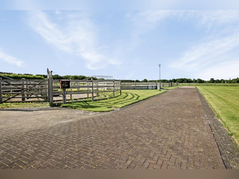 A Stunning Equestrian Estate with Endless Possibilities for the Professional Horse Enthusiast!