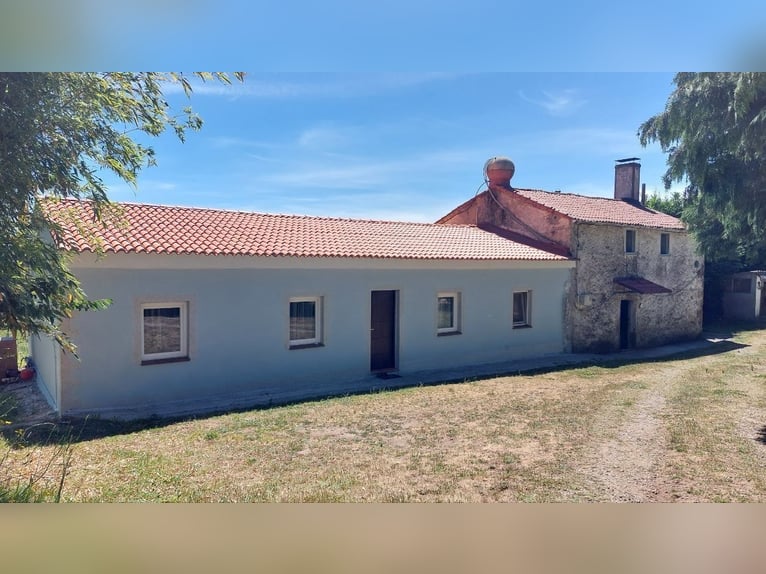 Anwesen mit Haus und privater Reitanlage