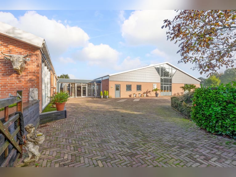 Anwesen mit professionellen Reitanlagen und großzügigen Wohnmöglichkeiten