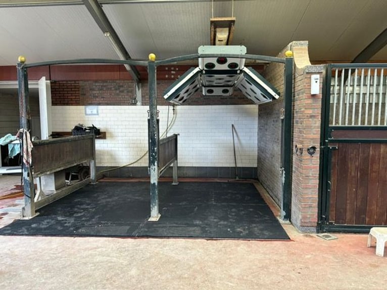 Anwesen mit professionellen Reitanlagen und großzügigen Wohnmöglichkeiten