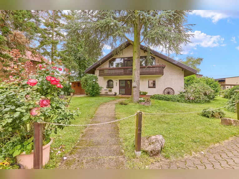 Attraktive Reitanlage in Heidelberg – großzügiges Anwesen mit Reithalle und zwei Wohnhäusern im Grün
