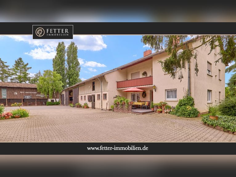 Attraktive Reitanlage in Heidelberg – großzügiges Anwesen mit Reithalle und zwei Wohnhäusern im Grün