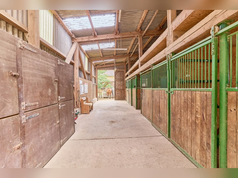 Attraktive Reitanlage in Heidelberg – großzügiges Anwesen mit Reithalle und zwei Wohnhäusern im Grün