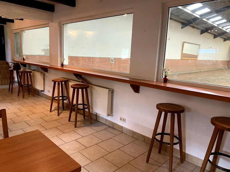 Attraktive Reitanlage zwischen Montabaur und Limburg