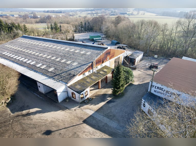 Attraktive Reitanlage zwischen Montabaur und Limburg