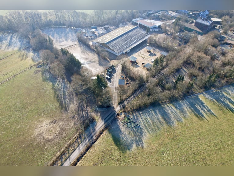 Attraktive Reitanlage zwischen Montabaur und Limburg