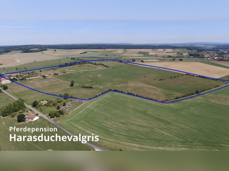 Außergewöhnliches Reitgut mit ca. 34 Hektar arrondiertem Weideland und Panoramablick in der Haute-Sa