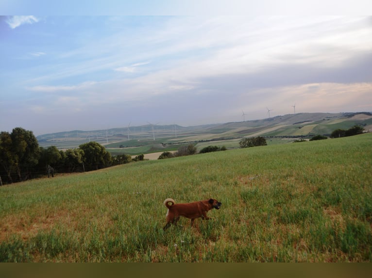 Aussicht, Aussicht, Aussicht.