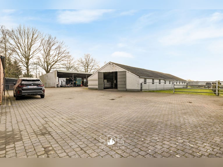 Authentischer Bauernhof mit verschiedenen Nebengebäuden und Weideflächen auf 93.155 m² – 2300 Turnho