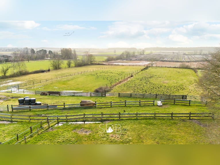 Authentischer Bauernhof mit verschiedenen Nebengebäuden und Weideflächen auf 93.155 m² – 2300 Turnho