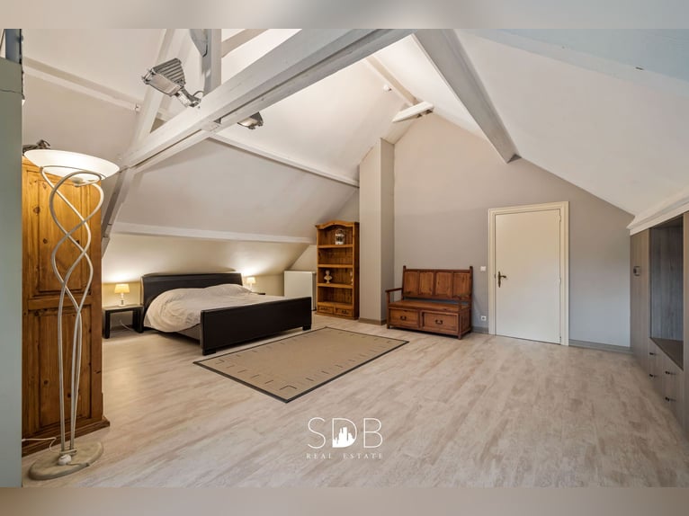 Authentischer Bauernhof mit verschiedenen Nebengebäuden und Weideflächen auf 93.155 m² – 2300 Turnho