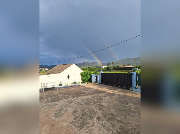 BEAUTIFUL COUNTRYHOUSE FOR LIVING WITH HORSES - WUNDERSCHÖNES LANDHAUS ZUR PRIVATEN PFERDEHALTUNG