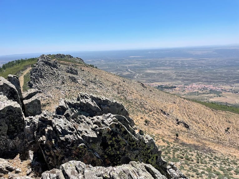 Betrieb für Freizeit und Großwildjagd.
