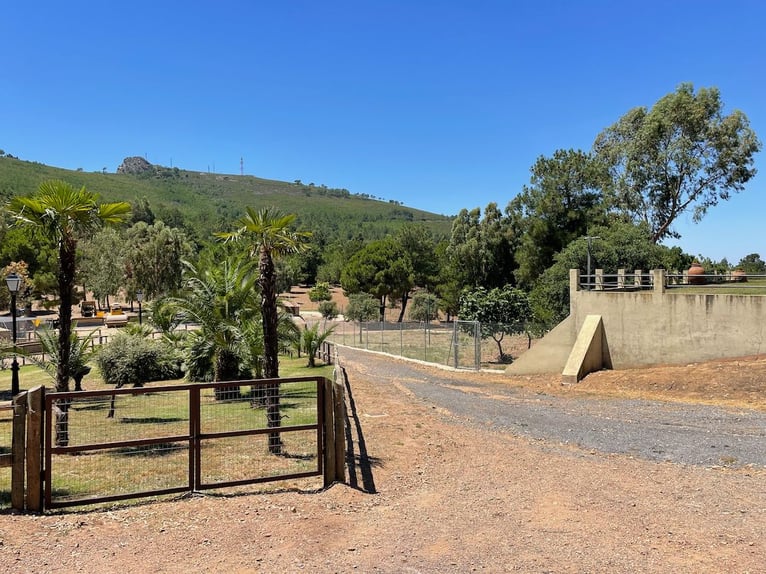 Betrieb für Freizeit und Großwildjagd.