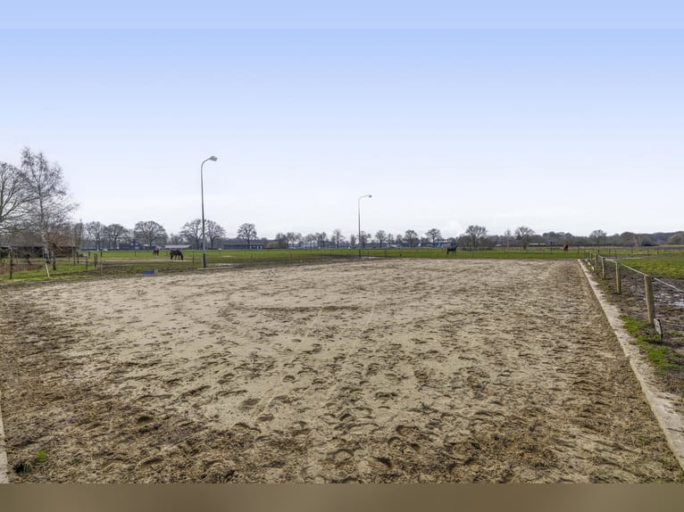 Buskensven 1, Oostrum