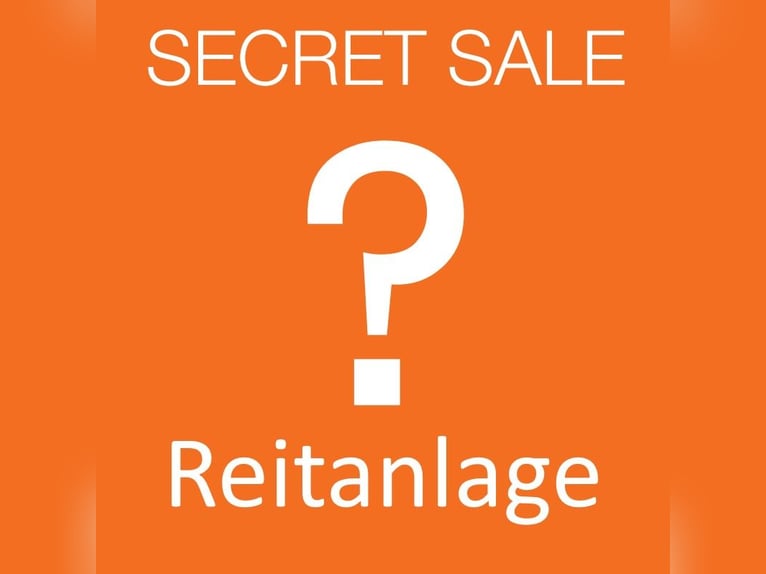  Charmante Reitanlage zwischen Stuttgart und dem Bodensee