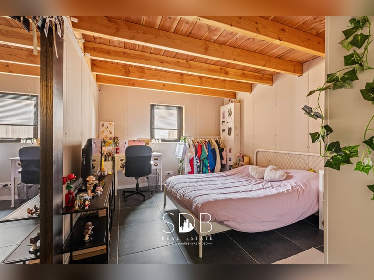 Charmantes Anwesen mit Weingarten und Weideland auf 14.569 m² in Wachtebeke | Belgien