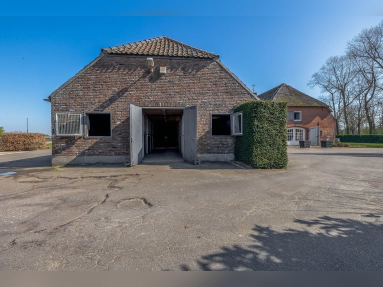 Charming Equestrian Property with Excellent Facilities in a Unique Setting