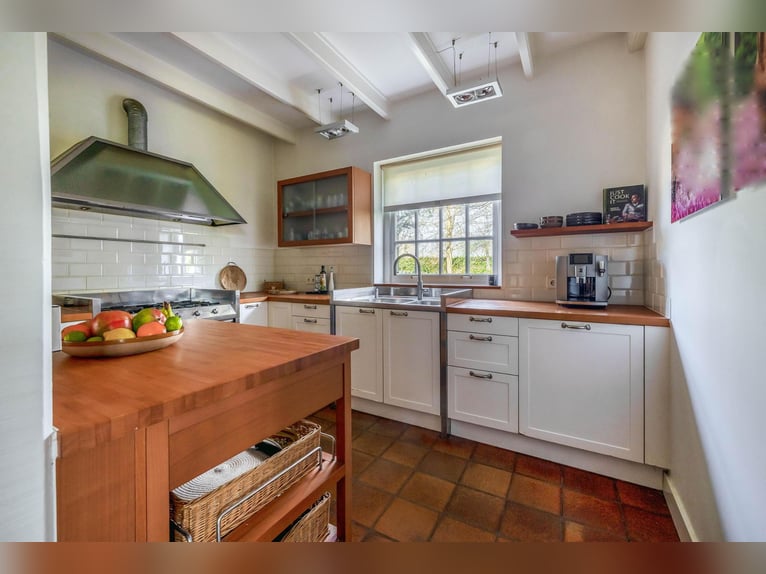Charming farmhouse with equestrian facilities near ’s-Hertogenbosch