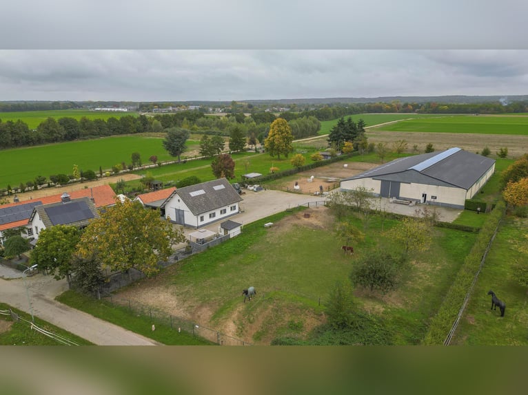 COMPACT EQUESTRIAN COMPLEX