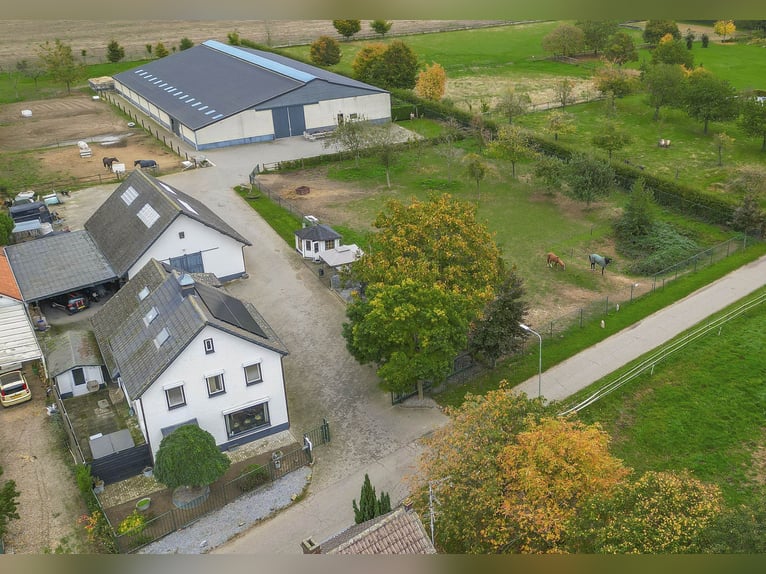 COMPACT EQUESTRIAN COMPLEX