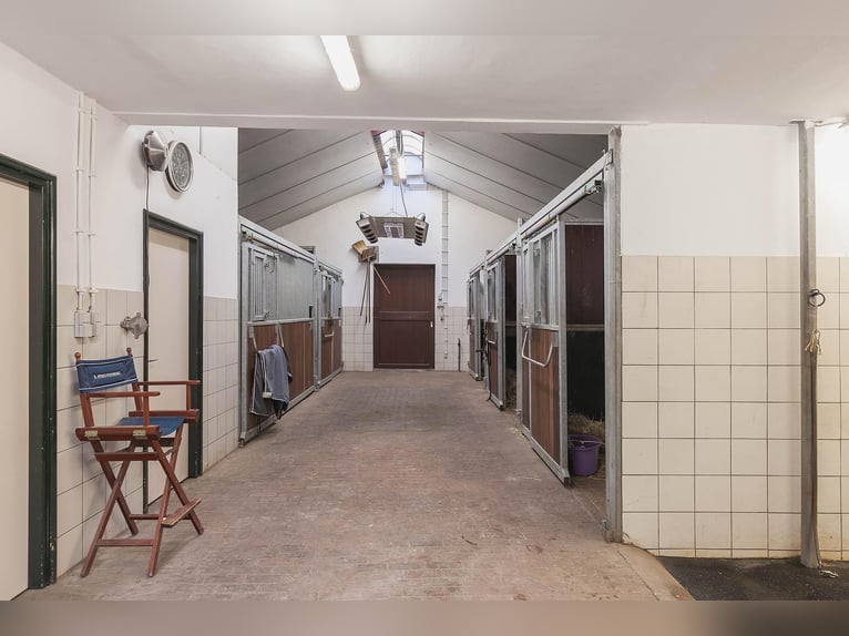 Complete Equestrian Facility with Residence and Extensive Amenities