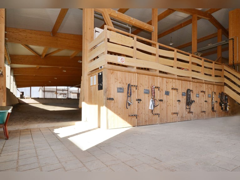 Denkmalprämiertes Jurahaus mit Pferdehof und erstklassiger Reithalle