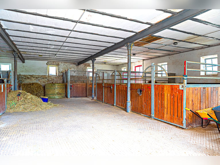 Der Büdenhof – wo historischer Charme auf moderne Visionen trifft
