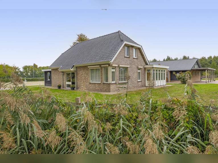 Ein wunderschöner Ort für das Glück der Pferde!