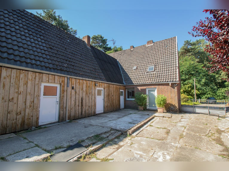 Einfamilienhaus mit Garage, Pferdestall und Reitplatz in der Metelener Heide zum Kauf