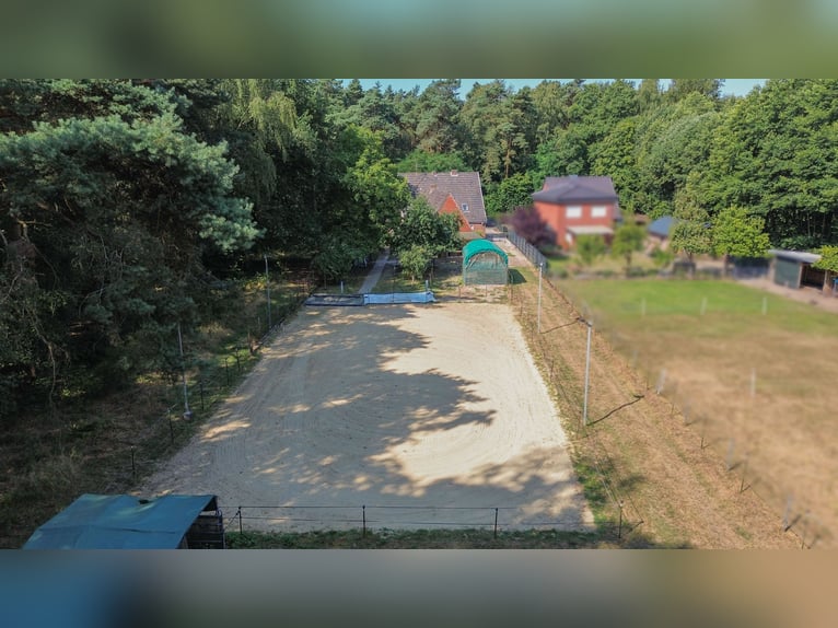 Einfamilienhaus mit Garage, Pferdestall und Reitplatz in der Metelener Heide zum Kauf