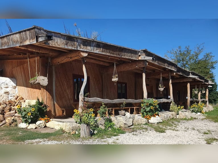 Einzigartige Pferderanch mit vielseitigem Nutzungspotential