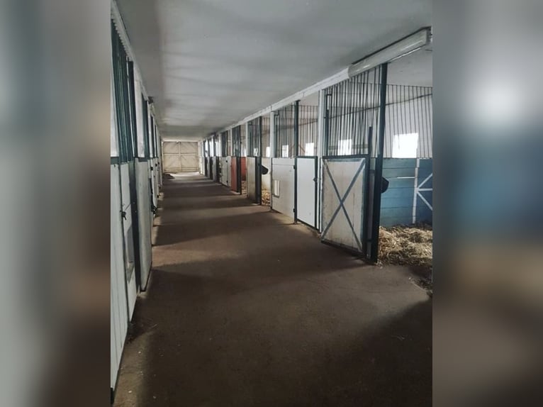 Einzigartige Pferderanch mit vielseitigem Nutzungspotential